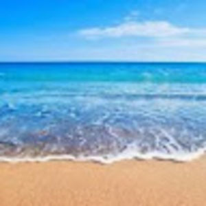 Meet your Posher, Callie